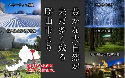 【箱根神社御用達】越前九頭龍米（5kg×2袋） 精米 令和6年産 新米 [B-006017]