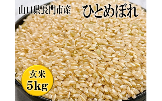 お米 米 こめ 玄米 日置ノ庄 ひとめぼれ 5ｋｇ おにぎり 長門市