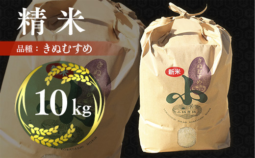 精米 きぬむすめ 10kg