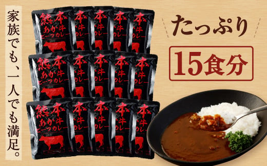 熊本県産 あか牛使用 くまもと あか牛ビーフカレー 15人前