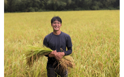 ９３０．【12回定期便】令和6年産こしひかり（精米）　10kg×12回     離島不可（北海道、沖縄本島は配送可能） ※お申し込みから14日以内に発送