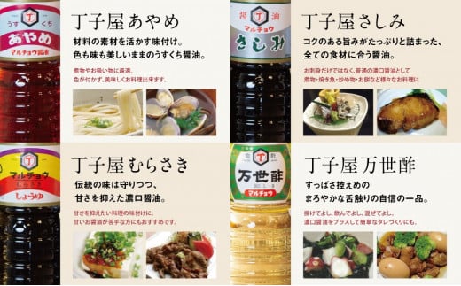 【創業享保20年の老舗醤油屋】丁子屋のかごしま醤油 詰め合わせ（4種）6本セット 調味料 醤油 酢 お酢 鹿児島 南さつま市