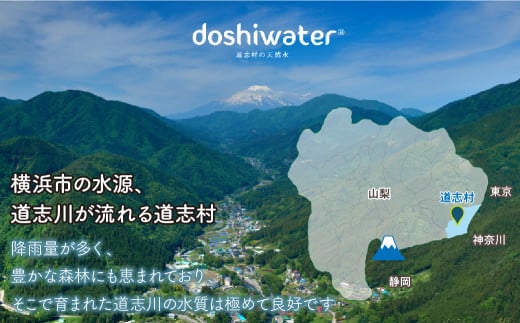 【定期便】【山梨　道志村の天然水】doshiwater BIB40L(10L×2箱×2セット)　大好評の大容量サイズ2セット【12回定期】 ふるさと納税 水 天然水 ミネラルウォーター 自然水 ペットボトル 定期便 山梨県 道志村 送料無料 DSF007