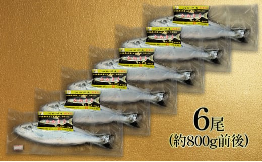 洞爺湖産ひめます6尾(約800g前後)冷凍