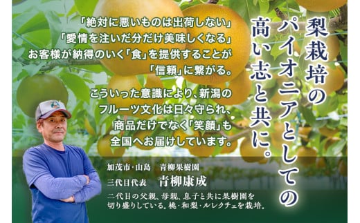 青柳果樹園の和梨 豊水 5kg(10〜14玉)《9月上旬から出荷》 果物 ほうすい フルーツギフト 加茂市 青柳果樹園