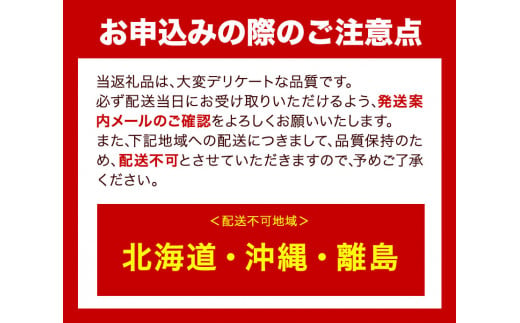 【配送不可地域あり】めだか ペアセット 紅翠玉 《30日以内に出荷予定(土日祝除く)》喜来めだか 徳島県 美馬市 めだか 生き物 旧喜来小学校 改良めだか専門店 鑑賞用