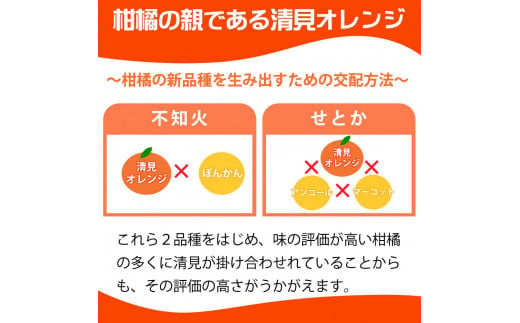 とにかくジューシー清見オレンジ 約2.5kg【2025年3月下旬以降発送】【先行予約】【UT131】