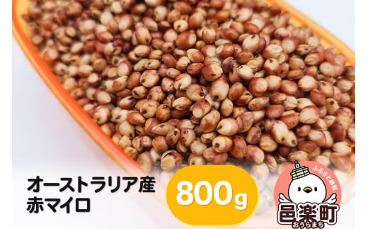 赤マイロ オーストラリア産 800g×1袋 サイトウ・コーポレーション 飼料