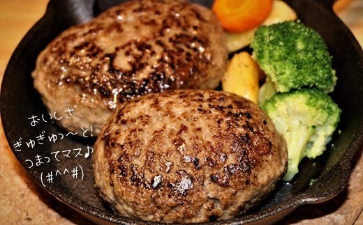 旨味凝縮 あか牛 100％ ハンバーグ 750g （ 150g × 5個 ） | 肉 にく お肉 おにく 牛 牛肉 和牛 焼くだけ 簡単 熊本県 玉名市