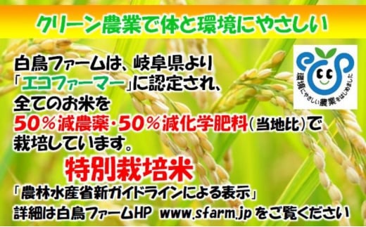 特別栽培米★[定期便] 3カ月★毎月 白米5kg 【ハツシモ】 米 お米 白米 コメ ご飯 定期 岐阜県 池田町 [№5644-1552]