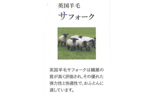 マチ付ボリューム 英国羊毛敷ふとん シングルロングサイズ ブルー K04K55EMB｜ボリューム 敷布団 通気性 吸湿発散 冬は暖かく 夏は涼しい [3878]