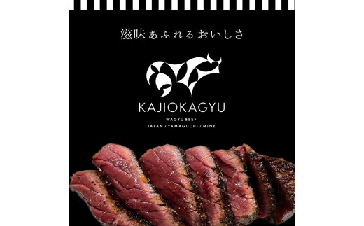 梶岡牛 【 ロースステーキ・フィレステーキ・肩ロース・バラカルビ・ウデ・すき焼きコマ肉・マエバラスライス 】セット ｜ 牛肉 肉 にく グルメ バラ カルビ スライス ステーキ ロース フィレ 肩ロース すき焼き セット 詰め合わせ 冷凍 特産品 山口 美祢