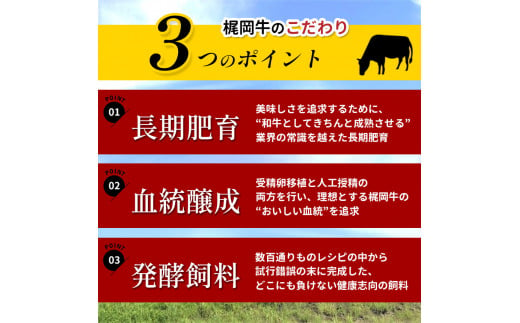 梶岡牛 【 ロースステーキ・フィレステーキ・肩ロース・バラカルビ・ウデ・すき焼きコマ肉・マエバラスライス 】セット ｜ 牛肉 肉 にく グルメ バラ カルビ スライス ステーキ ロース フィレ 肩ロース すき焼き セット 詰め合わせ 冷凍 特産品 山口 美祢