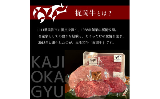 梶岡牛 【 ロースステーキ・フィレステーキ・肩ロース・バラカルビ・ウデ・すき焼きコマ肉・マエバラスライス 】セット ｜ 牛肉 肉 にく グルメ バラ カルビ スライス ステーキ ロース フィレ 肩ロース すき焼き セット 詰め合わせ 冷凍 特産品 山口 美祢