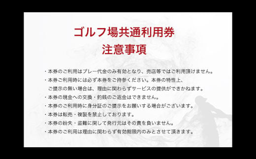 【長南町内】ゴルフ場利用券6枚 ふるさと納税 施設利用券 ゴルフ ごるふ GOLF ゴルフ場 利用券 ゴルフ場利用券 ゴルフ場プレー券 ゴルフプレー券 プレー券 ゴルフプレー コース利用券 千葉県 長南町 送料無料 CNR006