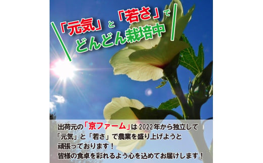 野菜 オクラ 約 2kg 以上 朝採れ《 先行予約 5月下旬～発送開始》 夏野菜  阿波市産 徳島県