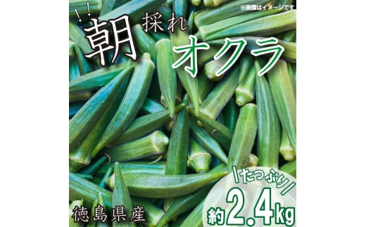 野菜 オクラ 約 2kg 以上 朝採れ《 先行予約 5月下旬～発送開始》 夏野菜  阿波市産 徳島県