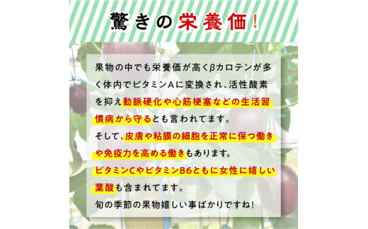 【2025年先行予約】【農家直送】奄美大島産 パッションフルーツ 贈答用 1kg（秀品12個入り）　A092-004