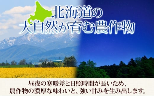 【 ふるさと納税 】7日発送 令和6年産 ふっくりんこ 5kg 2袋 計10kg お米 米 白米 ごはん ご飯 ふっくら しっとり つややか 艶やか 新米【 滝川市 】