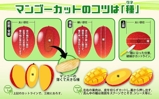 【2025年発送】山川農園のアップルマンゴー家庭用（約2kg） アーウィン 果物 甘い 夏 濃厚 お取り寄せ Mango ランキング 完熟 お気に入り 美味しい 人気 おすすめ フルーツ 沖縄県 南国 食品 デザート 産地直送 送料無料