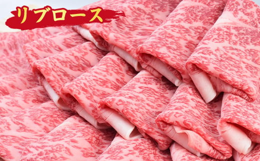 佐賀牛 ローススライス すき焼き用 500g A5 A4【希少 国産和牛 牛肉 肉 牛 すき焼き リブロース】(H085114)