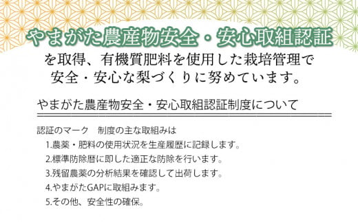 【令和6年産】 東荒屋産 幸水(和梨) 5kg 山形県鶴岡市 鶴岡中央青果