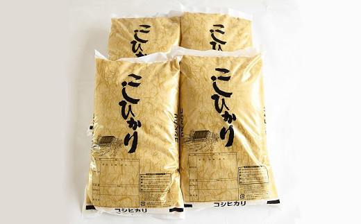 こしひかり20kg（5kg×4袋）をお届けします。