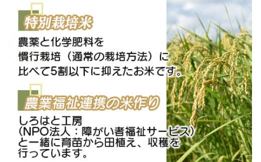 ＜令和6年度 特別栽培米「粋」コシヒカリ 5kg（3か月定期便）＞ ※翌月下旬に第一回目を発送(12月は中旬) お米 米 白米 精米 宮崎県 高鍋町