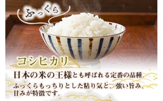 ＜令和6年度 特別栽培米「粋」コシヒカリ 5kg（3か月定期便）＞ ※翌月下旬に第一回目を発送(12月は中旬) お米 米 白米 精米 宮崎県 高鍋町