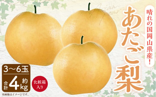 岡山県産 あたご梨 3-6玉 （約4kg） 化粧箱入り 【2024年11月下旬～12月下旬発送予定】