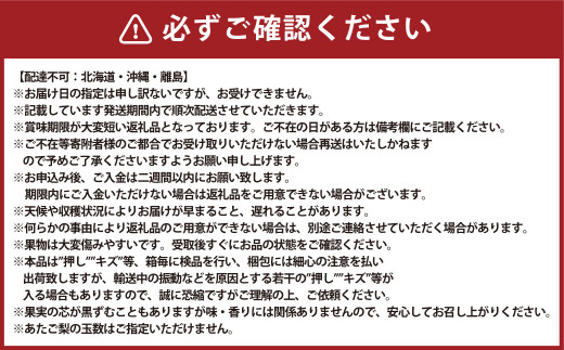 岡山県産 あたご梨 3-6玉 （約4kg） 化粧箱入り 【2024年11月下旬～12月下旬発送予定】