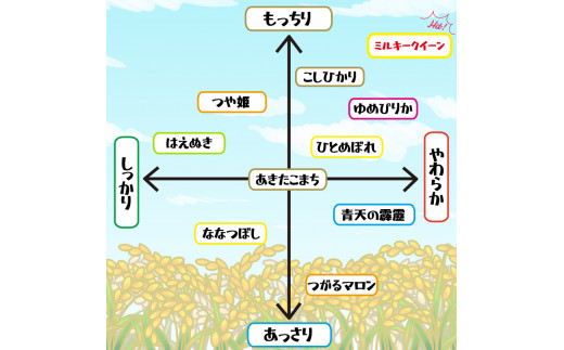 新米 お米 ミルキークイーン 10kg 令和5年産 精米 ご飯 ブランド米 徳島県 阿波市