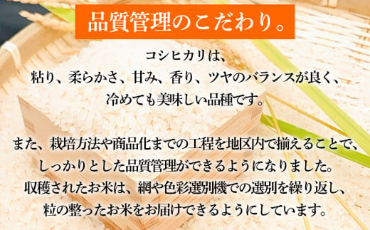 ＜令和6年産・精米＞柳津町黒沢地区産こしひかり「中山間のかがやき」5kg 〈10月末より順次発送〉【1535163】