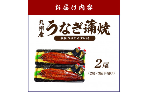 【3回定期便】九州産うなぎ蒲焼2尾　秘伝つゆだくタレ付【001-0383】