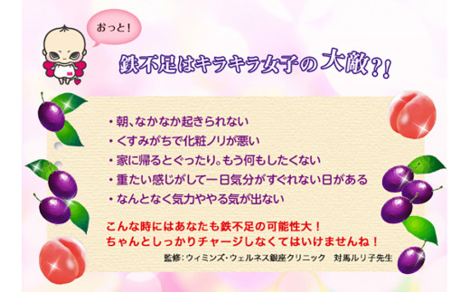 （定期便） 6か月 エーザイ チョコラBB Feチャージ 10本×3箱 全6回 ／ オートスナック 栄養機能食品（鉄） 栄養ドリンク 鉄分 鉄分不足 ノンカフェイン 奈良県 葛城市