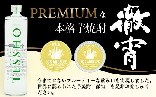 【 チューハイ の 素 × 1ダース 】檸檬徹宵 500ml × 12本 25度 芋焼酎使用 ソーダ割り 果実感 たっぷり レモン サワー 熊本県 多良木町 恒松酒造本店 本格焼酎 チューハイ ソーダ割り  040-0591