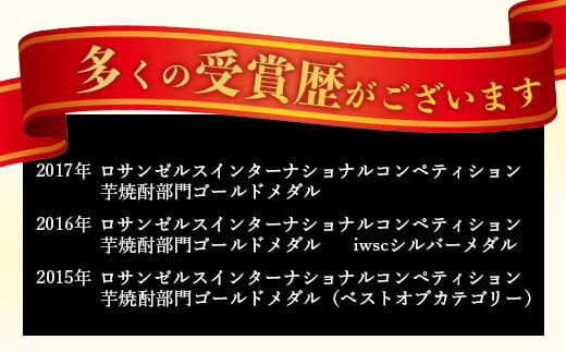 【 チューハイ の 素 × 1ダース 】檸檬徹宵 500ml × 12本 25度 芋焼酎使用 ソーダ割り 果実感 たっぷり レモン サワー 熊本県 多良木町 恒松酒造本店 本格焼酎 チューハイ ソーダ割り  040-0591