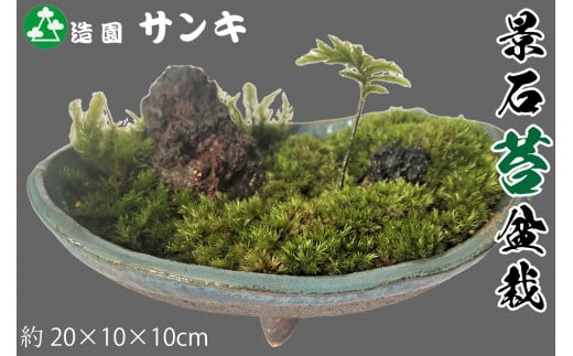 京都 造園サンキ　景石苔盆栽[髙島屋選定品］027N486 