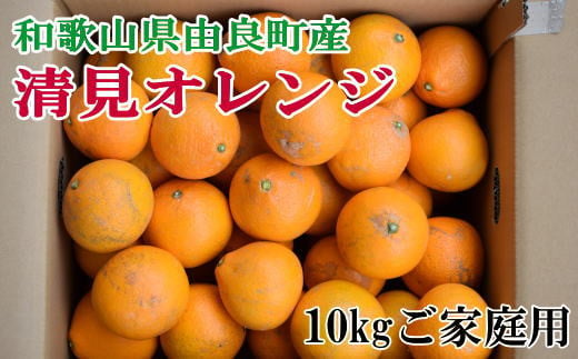 【訳あり・ご家庭用】和歌山由良町産の濃厚清見オレンジ約10kg　※2025年2月中旬～2025年2月下旬頃（お届け日指定不可）【tec877】