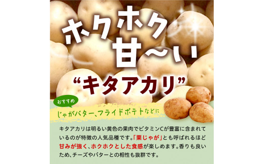 【先行予約 11月より順次発送】北海道十勝芽室町 なまら十勝野 芽室町産キタアカリ・玉ねぎ　各5kg　me001-037c