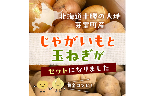 【先行予約 11月より順次発送】北海道十勝芽室町 なまら十勝野 芽室町産キタアカリ・玉ねぎ　各5kg　me001-037c