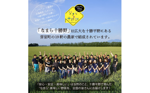 【先行予約 11月より順次発送】北海道十勝芽室町 なまら十勝野 芽室町産キタアカリ・玉ねぎ　各5kg　me001-037c