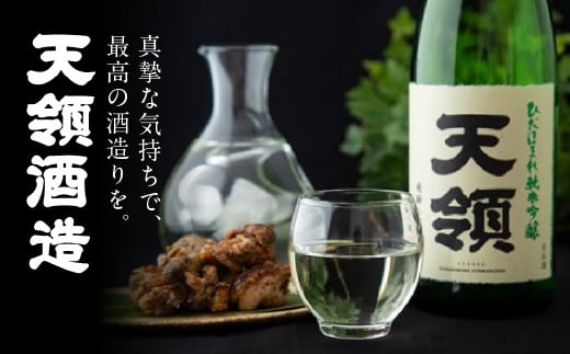 【年内順次発送】【天領酒造】純米大吟醸  天禄拝領 （720ml×1本）酒 お酒 下呂温泉 日本酒 下呂市 天領 年内配送 年内発送 年内に届く