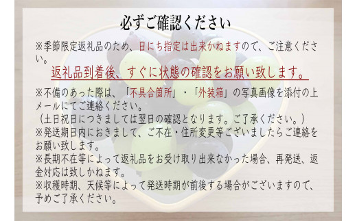 新米コシヒカリ2kg･ミルキークイーン2kg/シャインマスカット2房【期間限定 数量限定 葡萄 ブドウ フルーツ 新米 こしひかり お米 セット 鹿嶋市 茨城県】(KBT-2B)