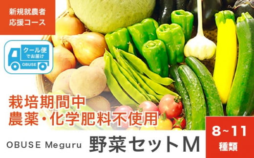 ［ 栽培期間中 農薬・化学肥料不使用］ OBUSE Meguru 野菜セット M 8～11種類 ［新規就農者応援コース 幸作会］野菜 詰め合わせ おまかせ やさい 詰合せ お楽しみ 菌ちゃん 長野県産 信州 令和6年産 【2024年6月中旬より順次発送】 ［K-225］