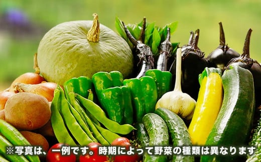 ［ 栽培期間中 農薬・化学肥料不使用］ OBUSE Meguru 野菜セット M 8～11種類 ［新規就農者応援コース 幸作会］野菜 詰め合わせ おまかせ やさい 詰合せ お楽しみ 菌ちゃん 長野県産 信州 令和6年産 【2024年6月中旬より順次発送】 ［K-225］