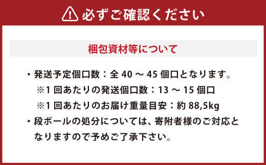 【3ヶ月定期便】熊本県産 黒毛和牛 和王 1頭分