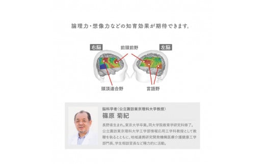 ダイヤブロック　OKOMEIRO（オコメイロ） L｜クリスマス ギフト 国産 プレゼント 知育