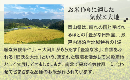 【無洗米】岡山県産こしひかり2kg【3ヶ月連続お届け】