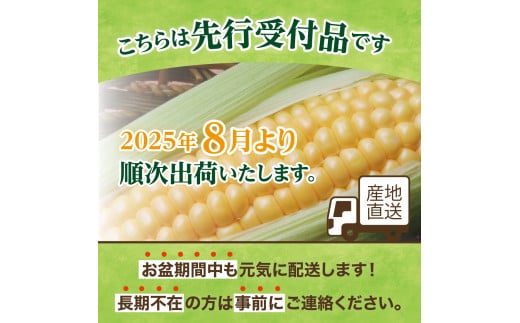 【2025年分先行予約】とうもろこし ゴールドラッシュ 50本 芽室町産 トウモロコシ コーン とうきび イエローコーン スイートコーン 野菜 新鮮 もぎたて 冷蔵 ギフト プレゼント お取り寄せ 送料無料 十勝 北海道 芽室町 【2025年8月発送】me035-029c-25